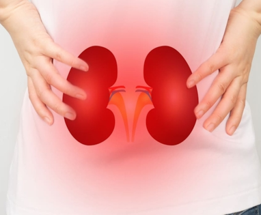 Những Thói Quen Hàng Ngày Âm Thầm Hủy Hoại Thận Của Bạn
